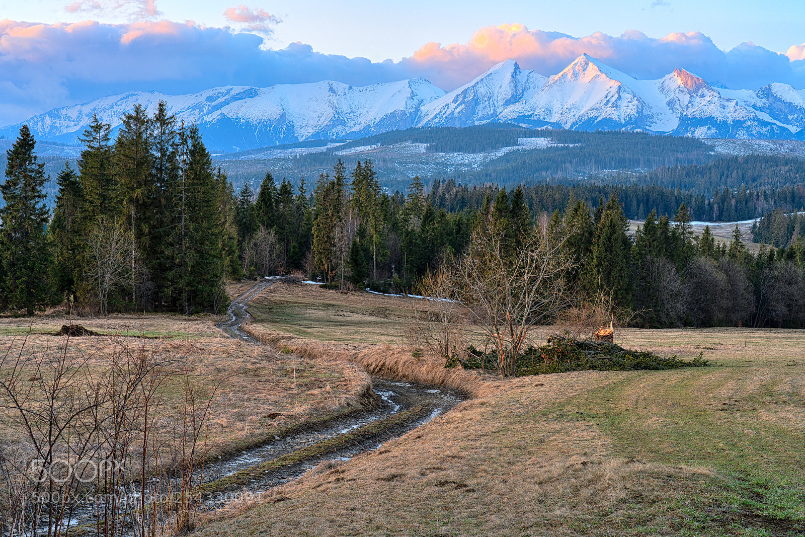 Sony a7R III sample photo. Morning view photography