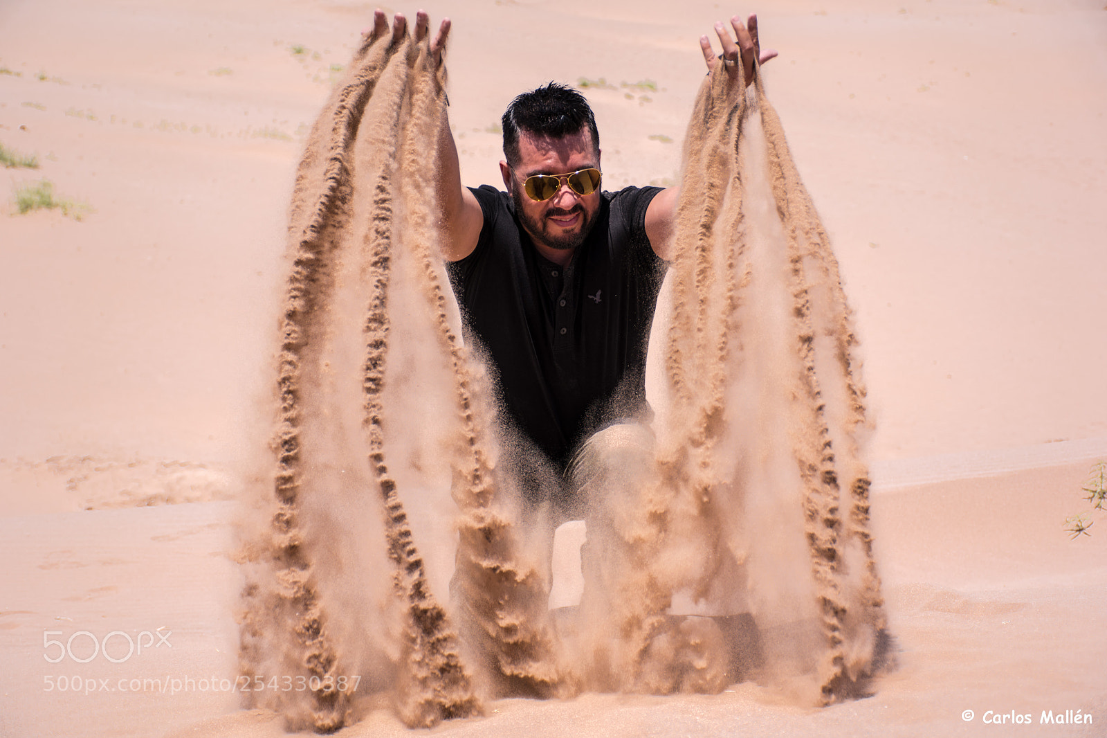 Nikon D5500 sample photo. The bat - dunas photography