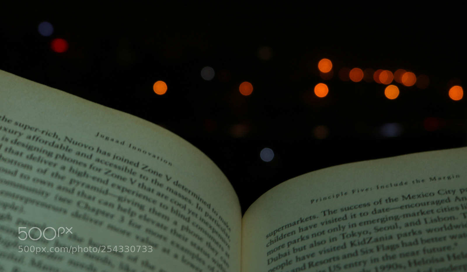 Canon EOS 750D (EOS Rebel T6i / EOS Kiss X8i) sample photo. Book of bokeh photography