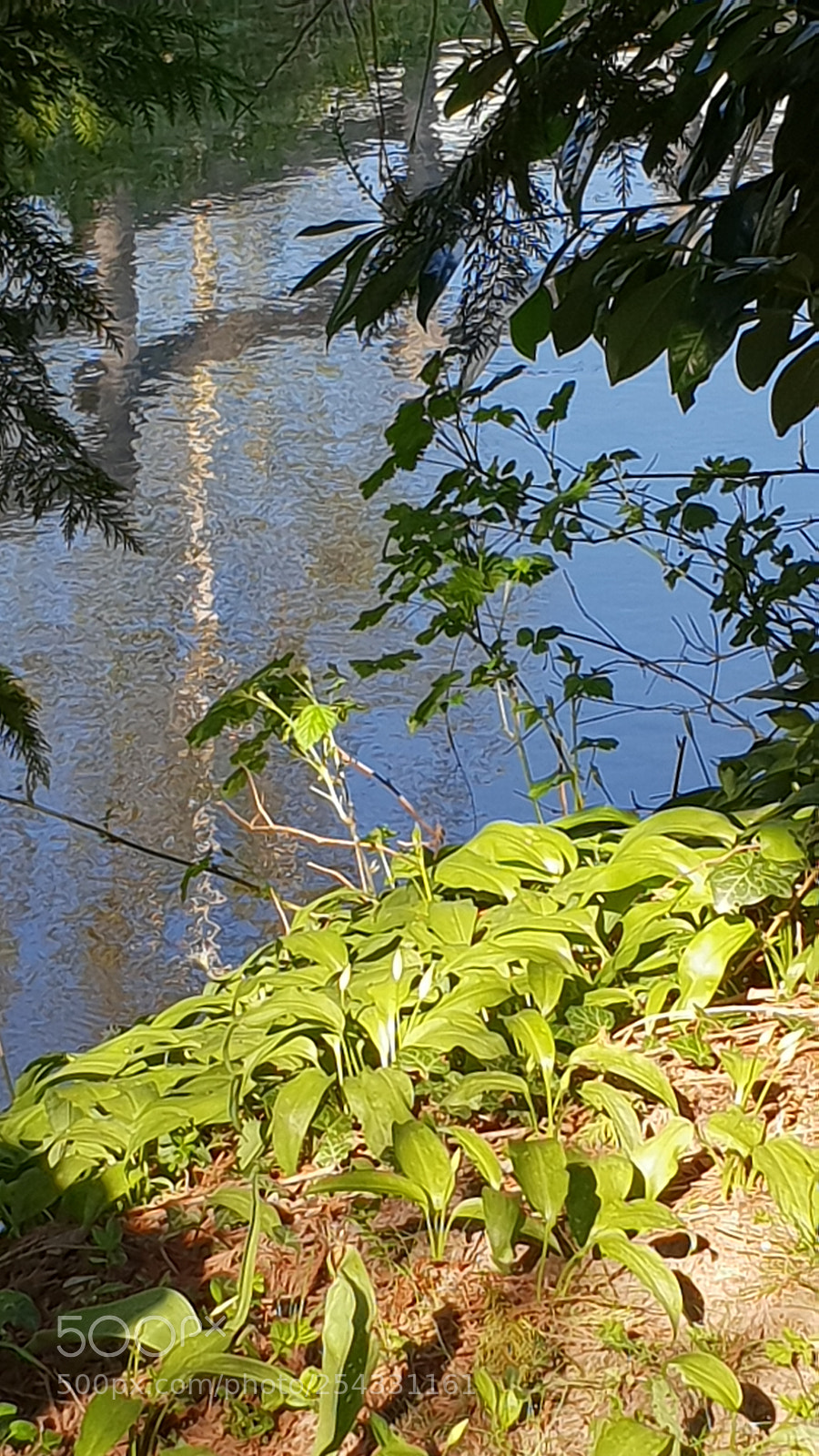 Samsung Galaxy S9 sample photo. Jeu de lumière photography