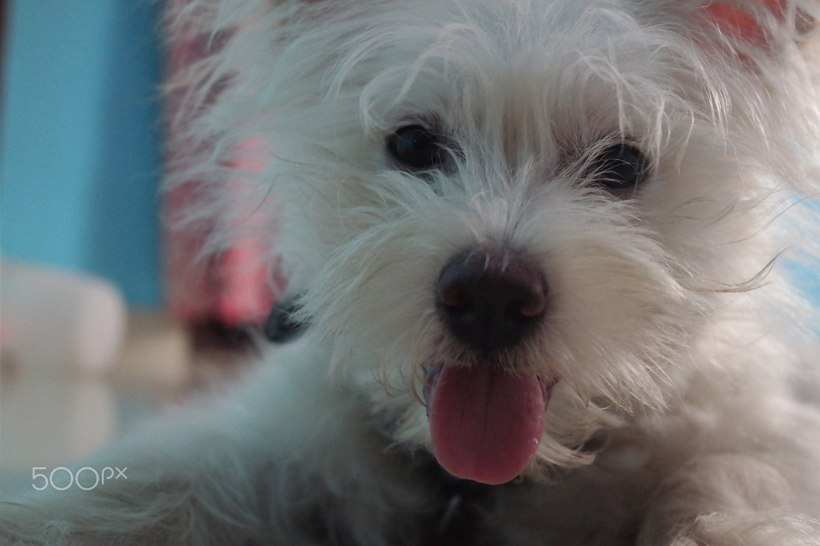 Samsung NX2000 sample photo. Our baby "eva" photography