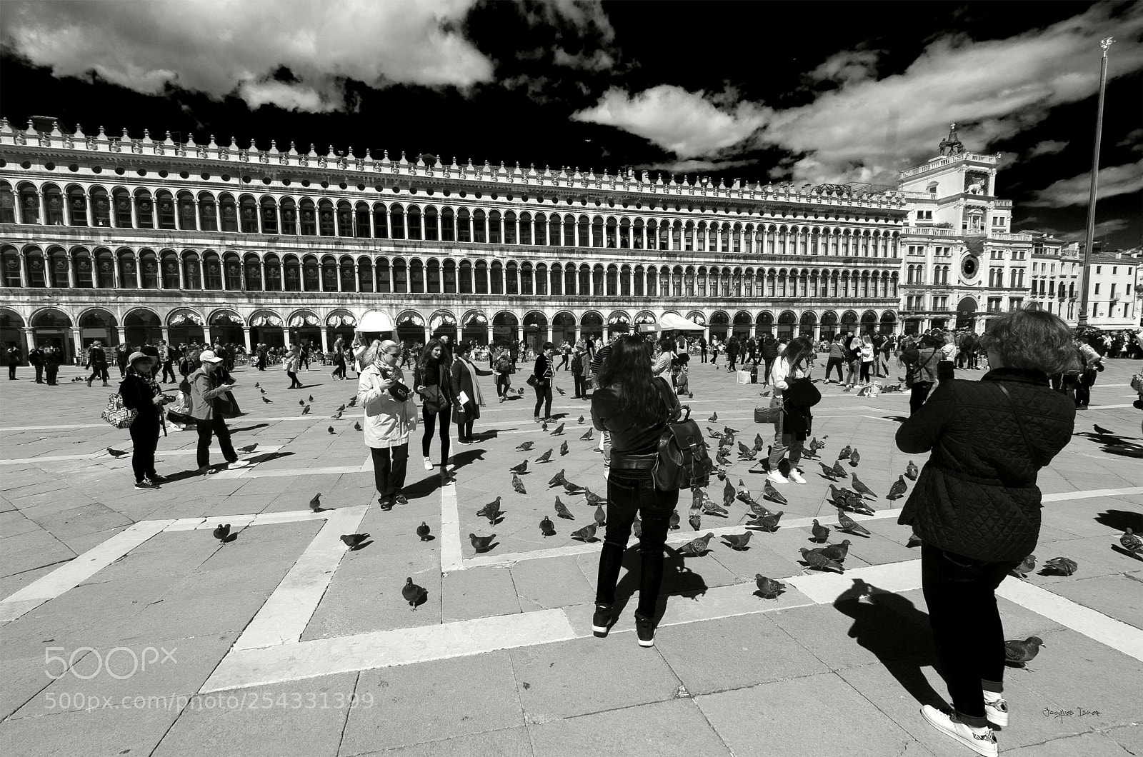 Pentax K-5 sample photo. Les pigeons photography