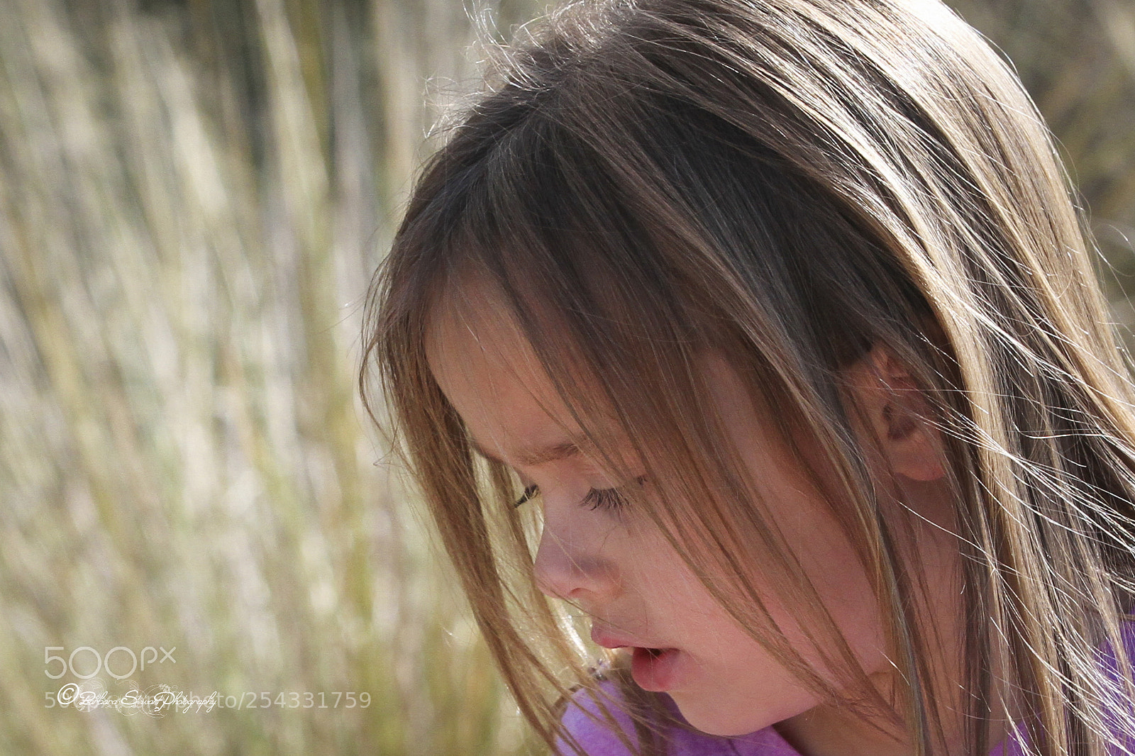Canon EOS 7D sample photo. Spring day photography