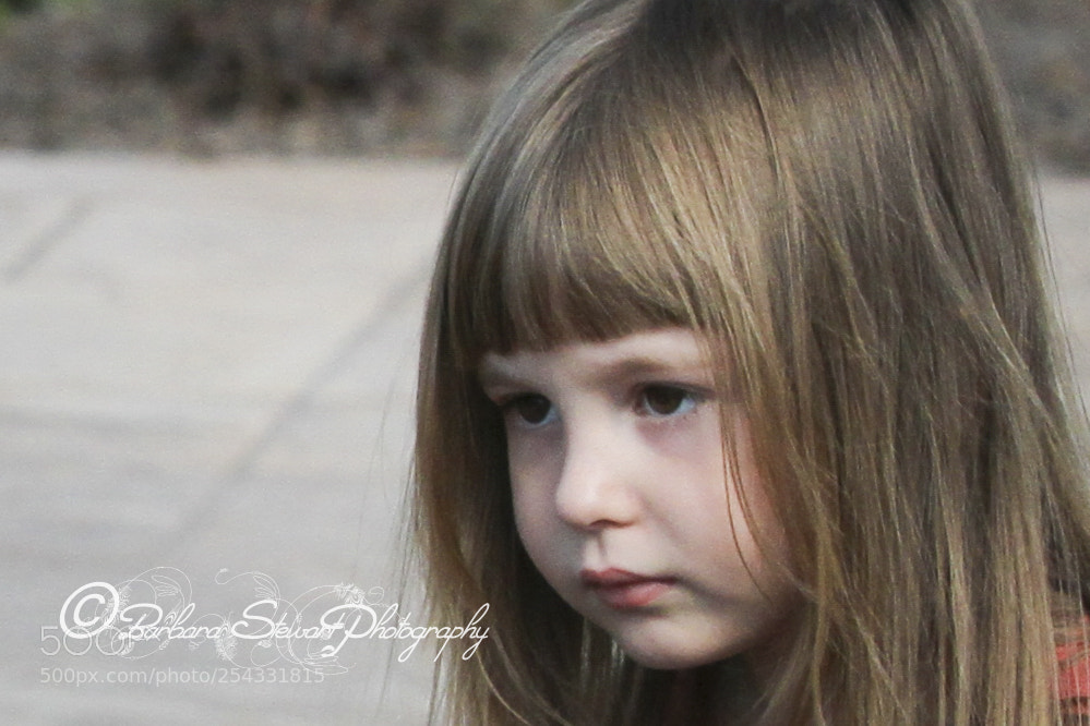 Canon EOS 7D sample photo. Spring day photography