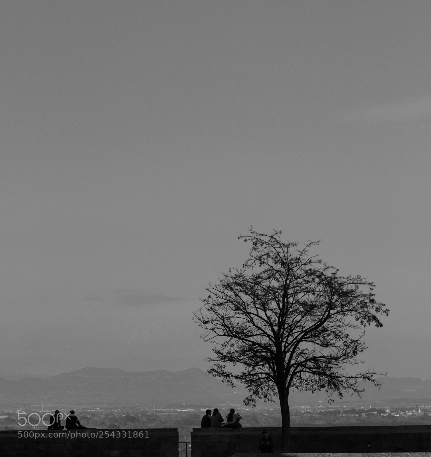 Canon EOS 700D (EOS Rebel T5i / EOS Kiss X7i) sample photo. Looking at the world  photography