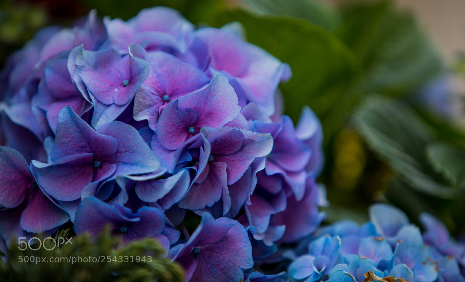Canon EOS 5D Mark IV sample photo. Spring continues... photography