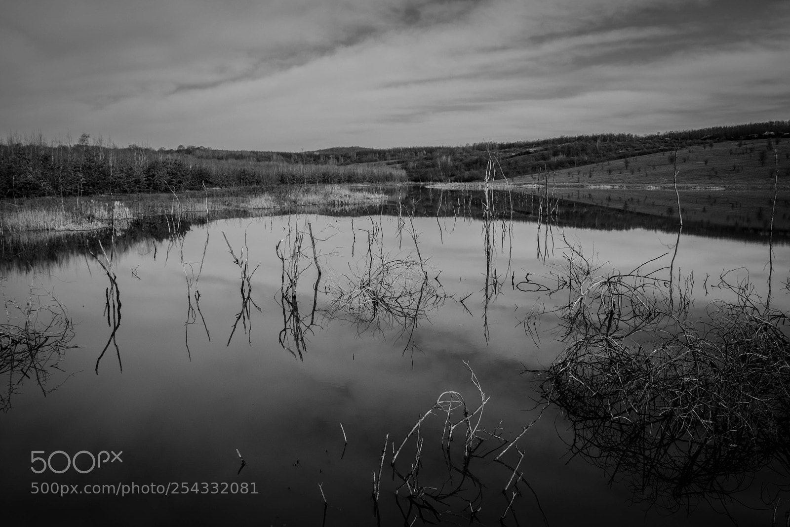 Nikon D5300 sample photo. Dark mirror photography