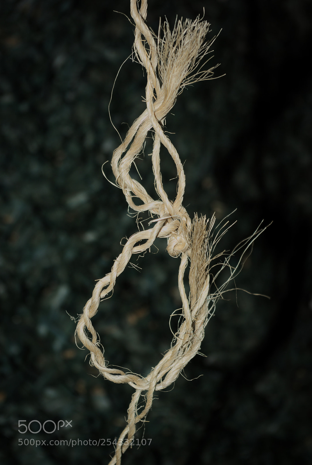 Pentax K10D sample photo. Knots in the dark... photography