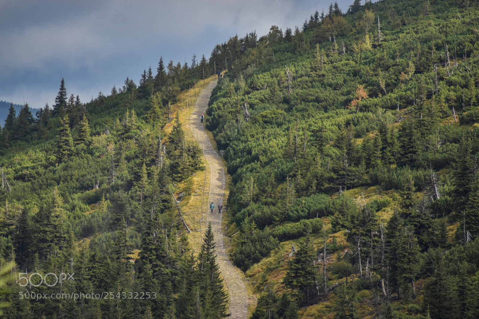 Nikon D5500 sample photo. Mountain pass photography