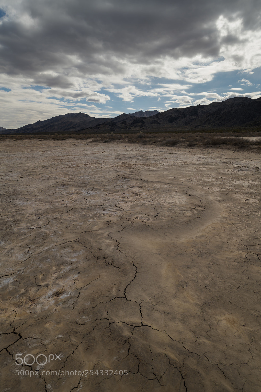 Nikon D850 sample photo. Tremors photography