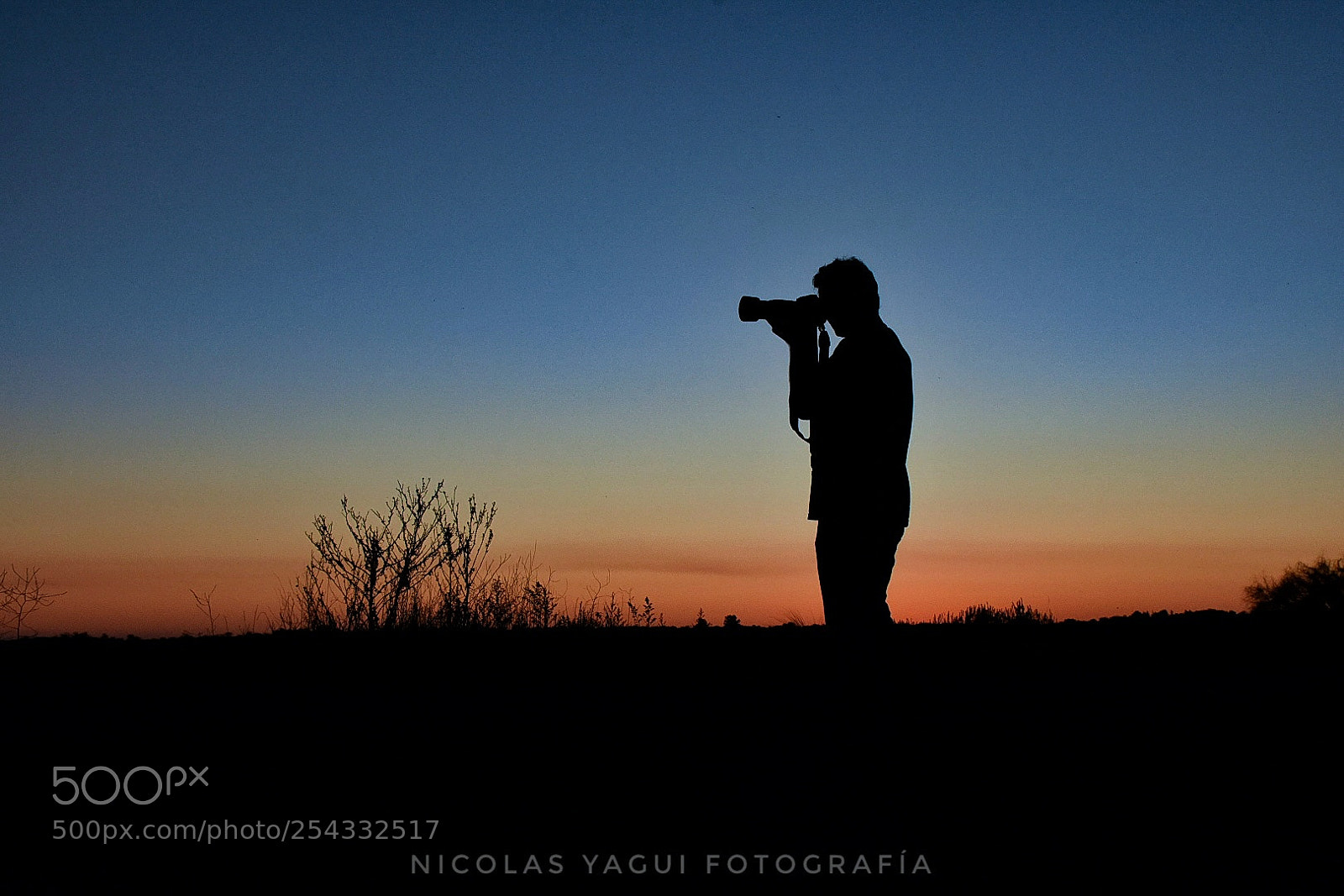 Nikon D7200 sample photo. Backlighting photography