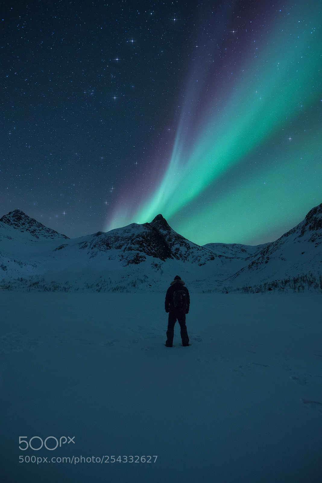 Canon EOS 5D Mark IV sample photo. Arctic selfie photography