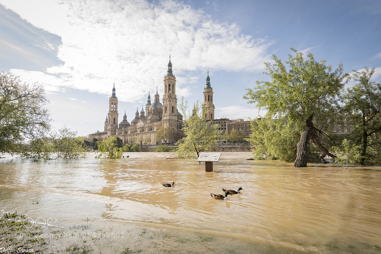 Nikon D500 sample photo. #ebro2018 photography