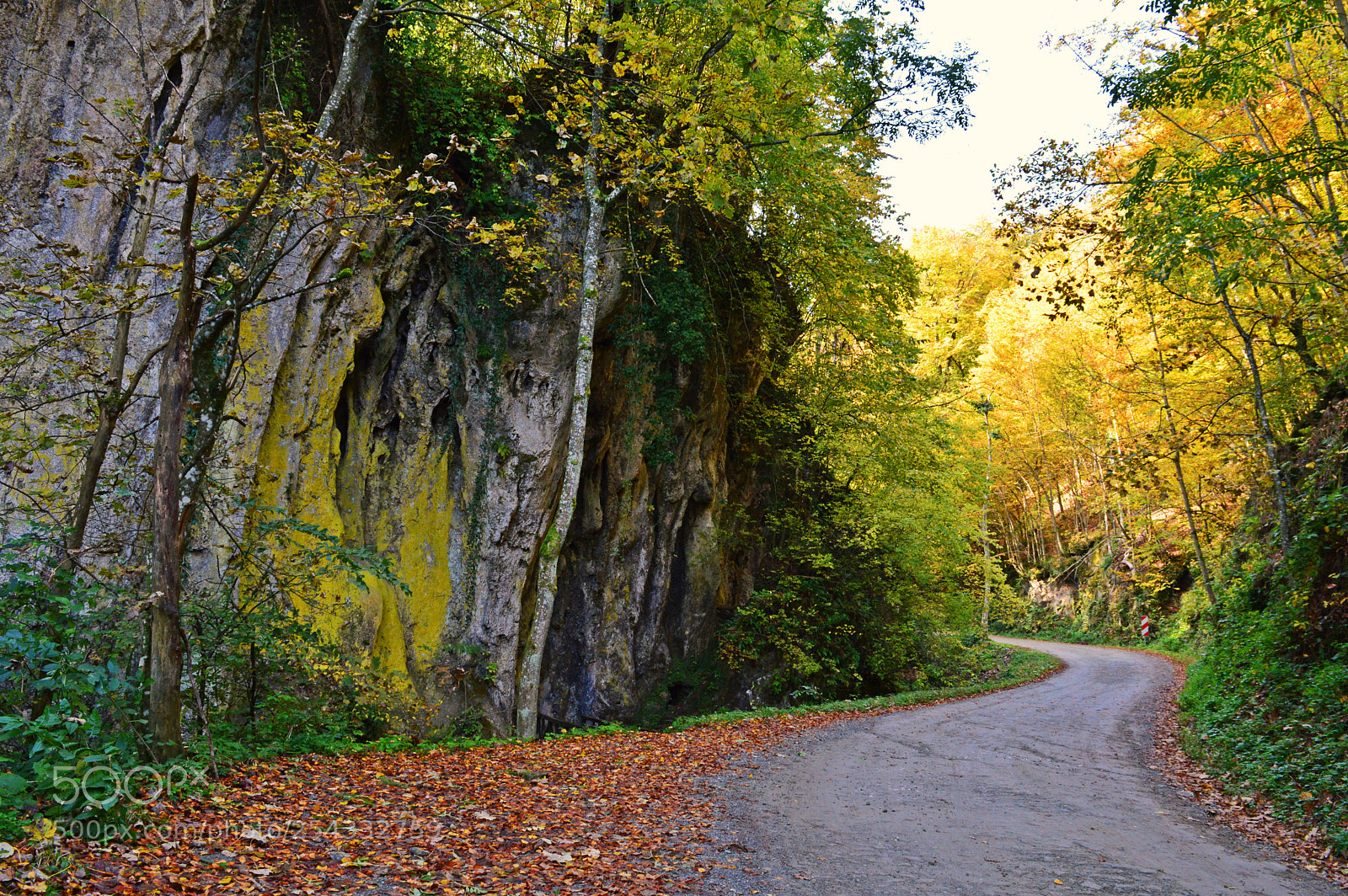 Nikon D3200 sample photo. Jankovac path photography