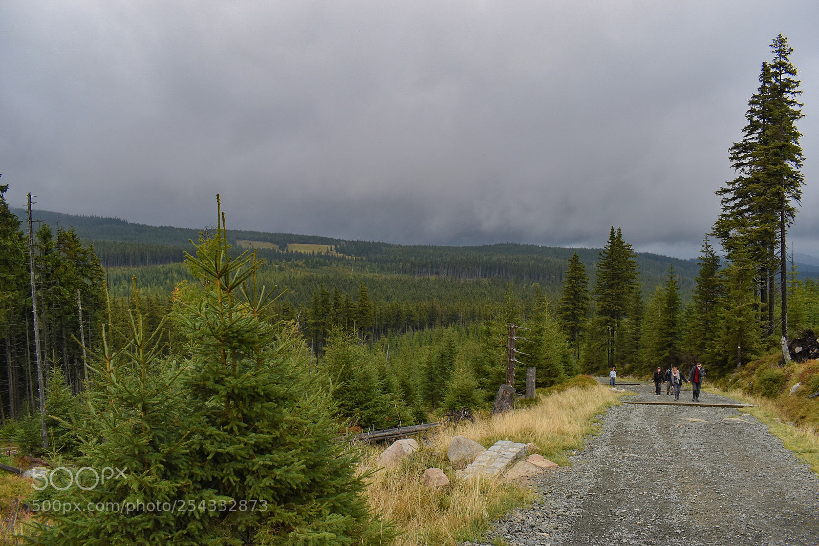 Nikon D5500 sample photo. Rainy clouds photography