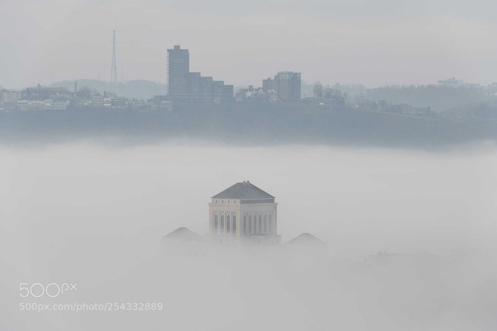 Nikon D850 sample photo. Floating in the fog photography