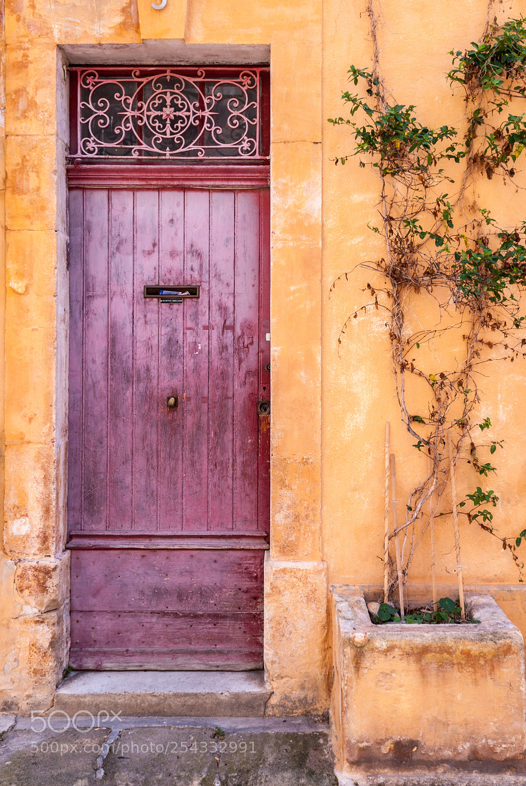 Nikon D200 sample photo. Old door photography