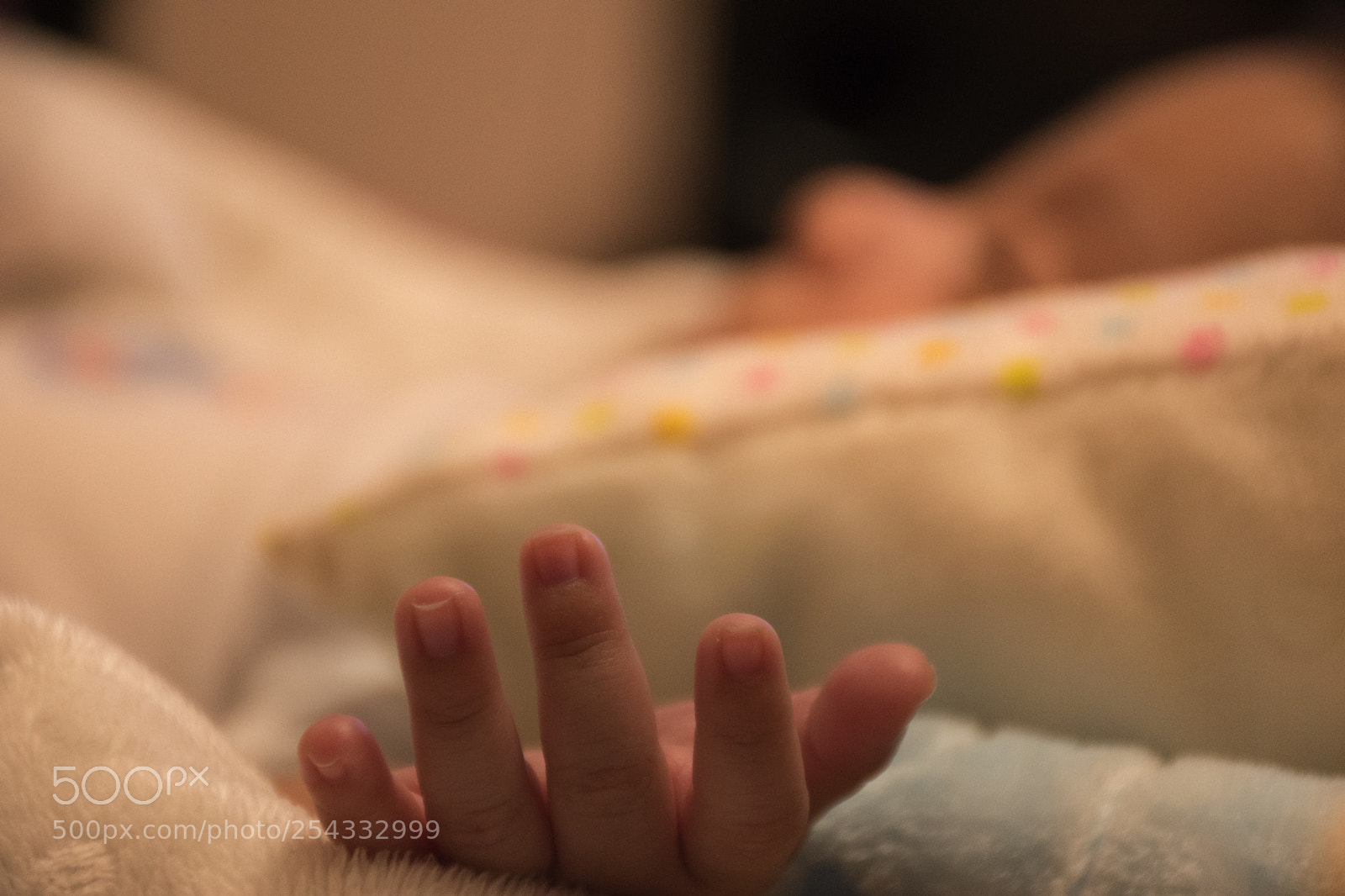 Nikon D5600 sample photo. Xania photography