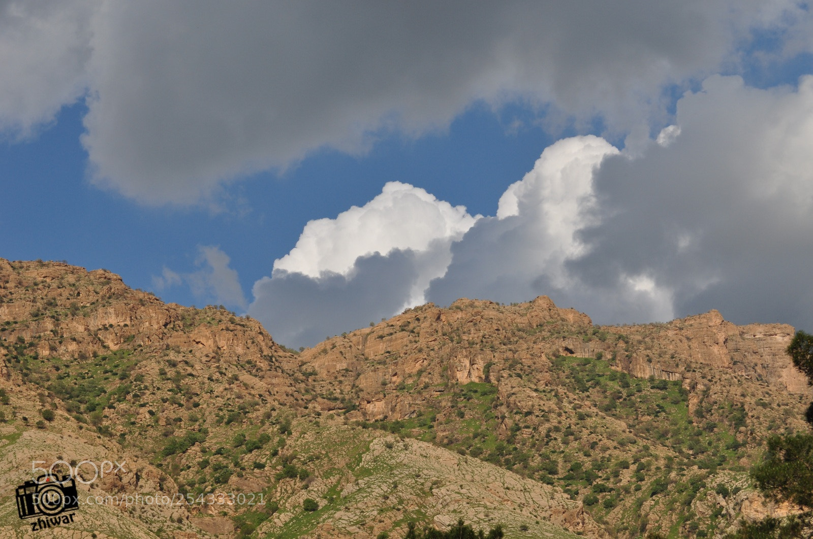 Nikon D5000 sample photo. Untitled photography