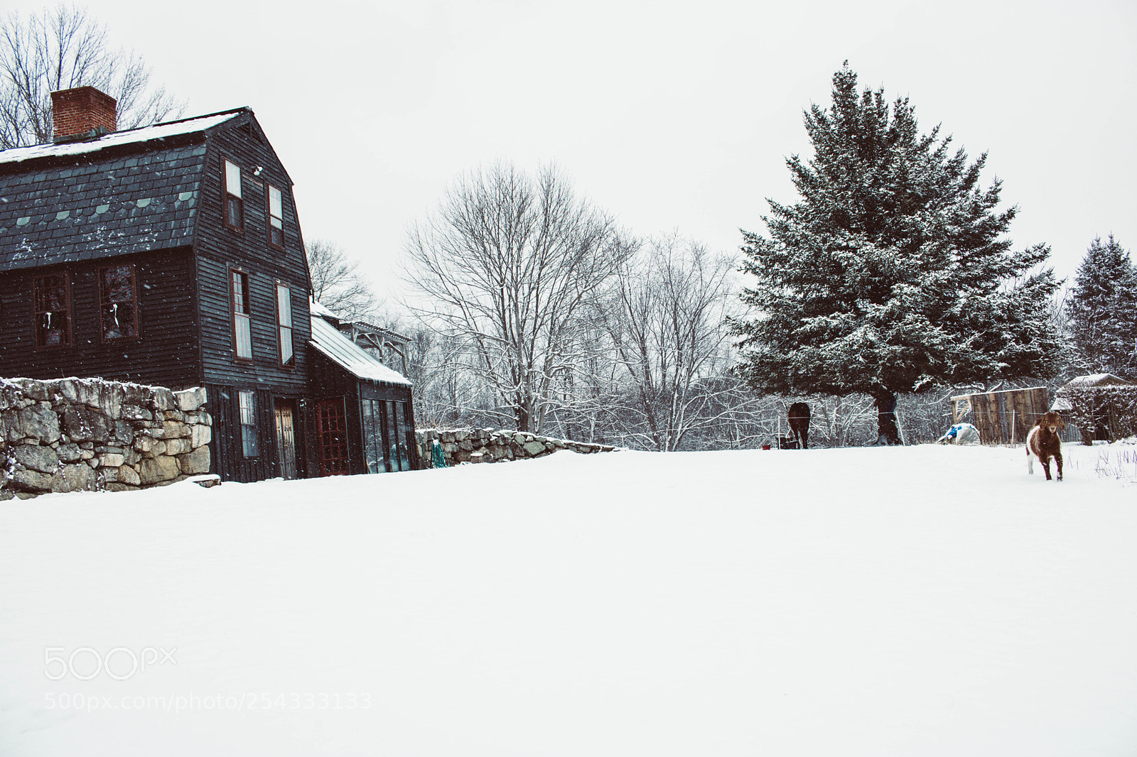 Canon EOS 750D (EOS Rebel T6i / EOS Kiss X8i) sample photo. Winter glamping land photography