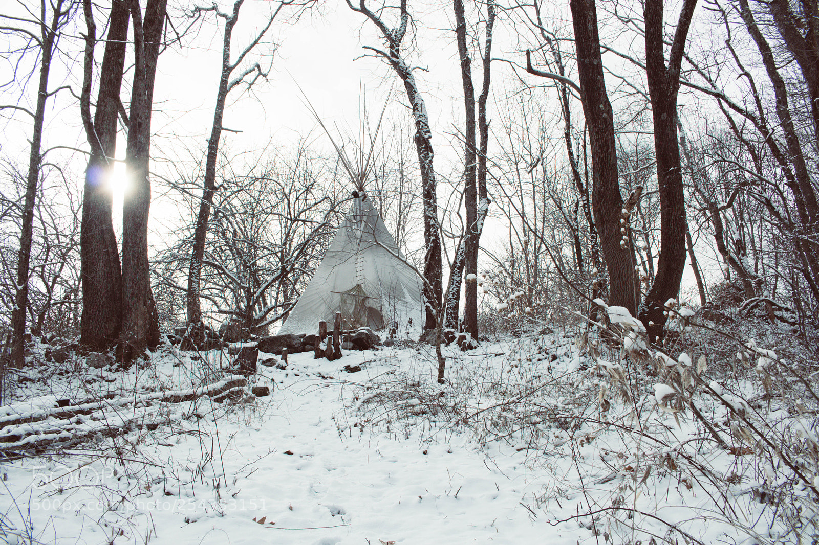 Canon EOS 750D (EOS Rebel T6i / EOS Kiss X8i) sample photo. Winter glamping land photography