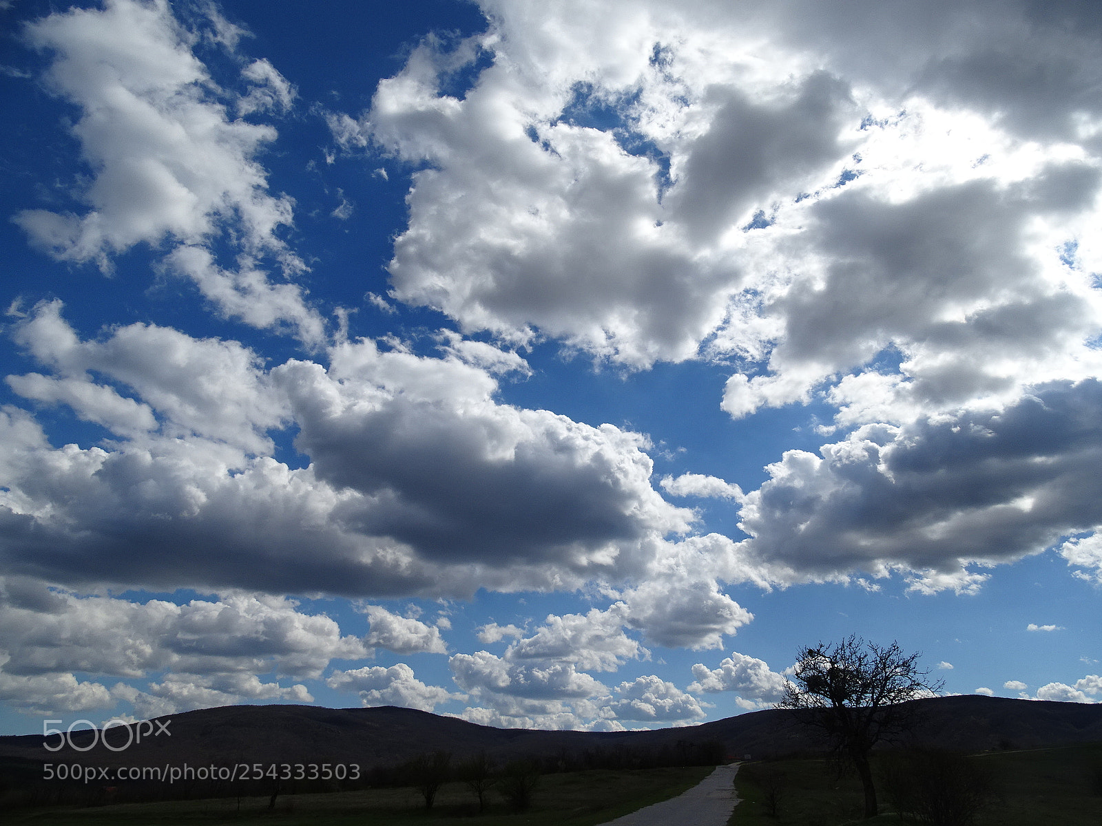 Sony Cyber-shot DSC-HX400V sample photo. Dsc photography