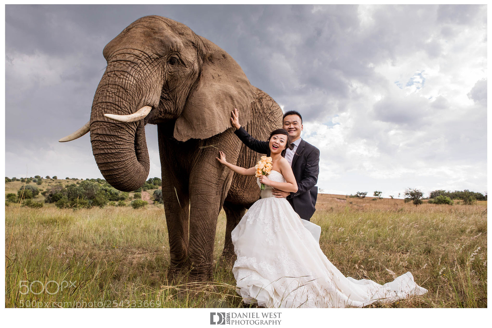 Canon EOS 5D Mark IV sample photo. Safari wedding experience in photography