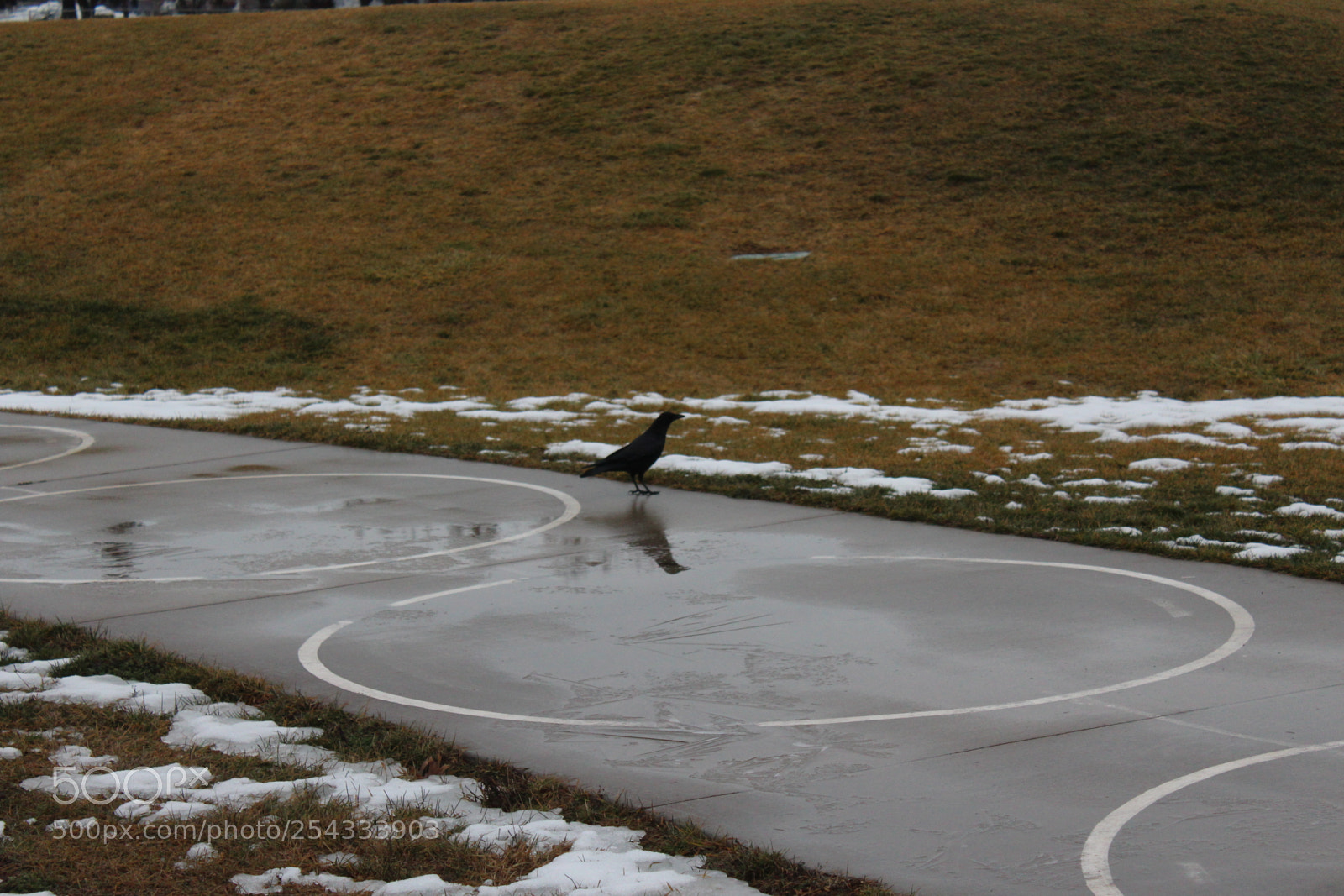 Canon EOS 1200D (EOS Rebel T5 / EOS Kiss X70 / EOS Hi) sample photo. Img photography