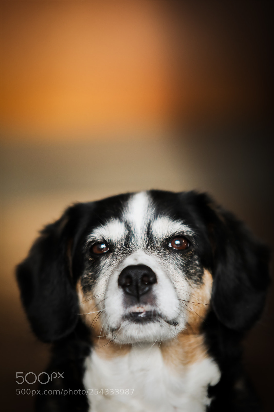 Canon EOS 5D Mark IV sample photo. Lotta photography