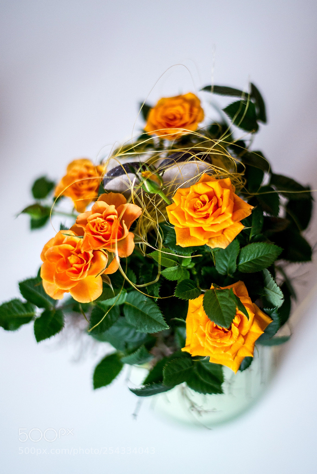 Leica M (Typ 240) sample photo. Orange photography