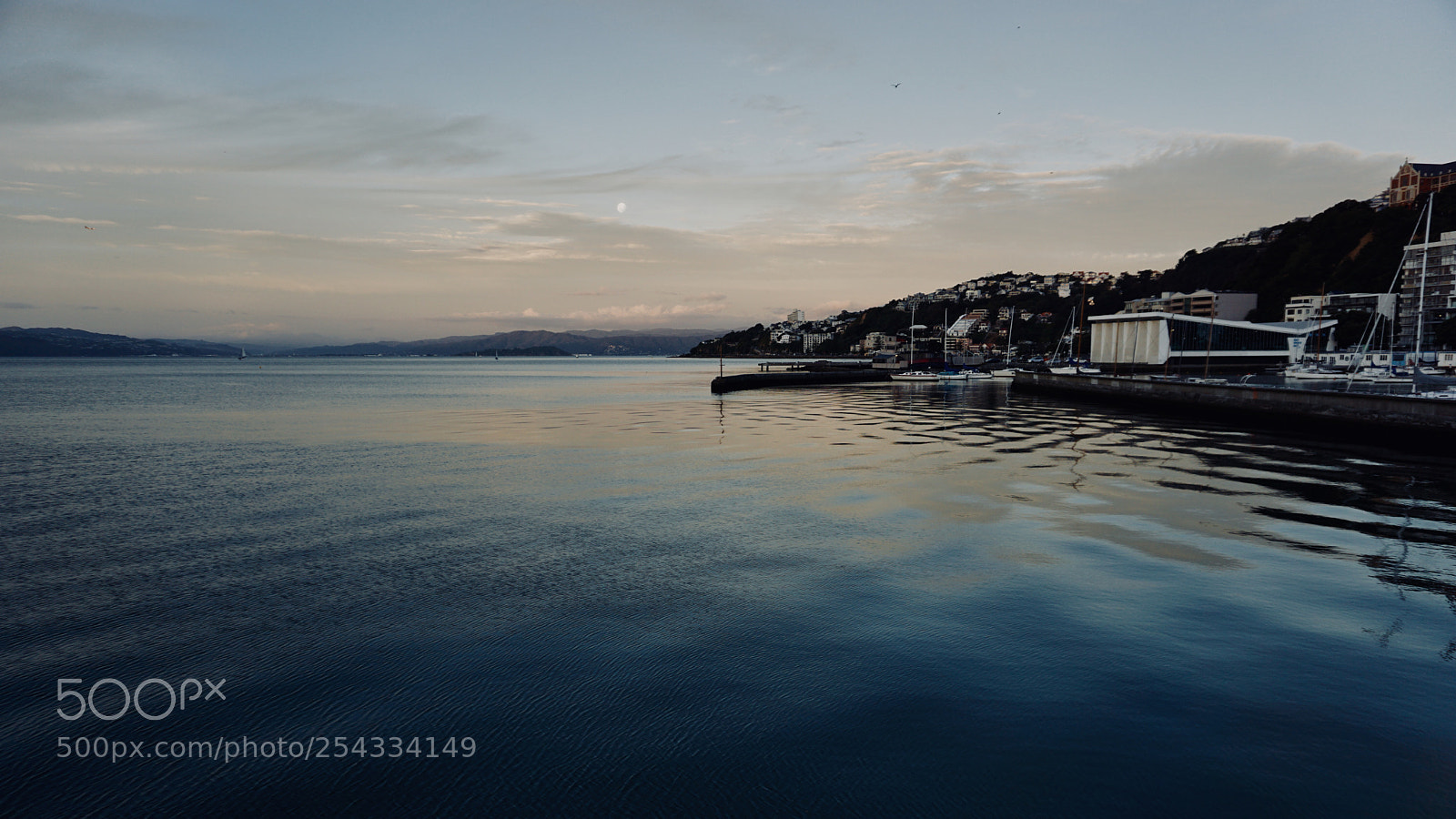 Sony a6000 sample photo. Silken waters, oriental bay photography