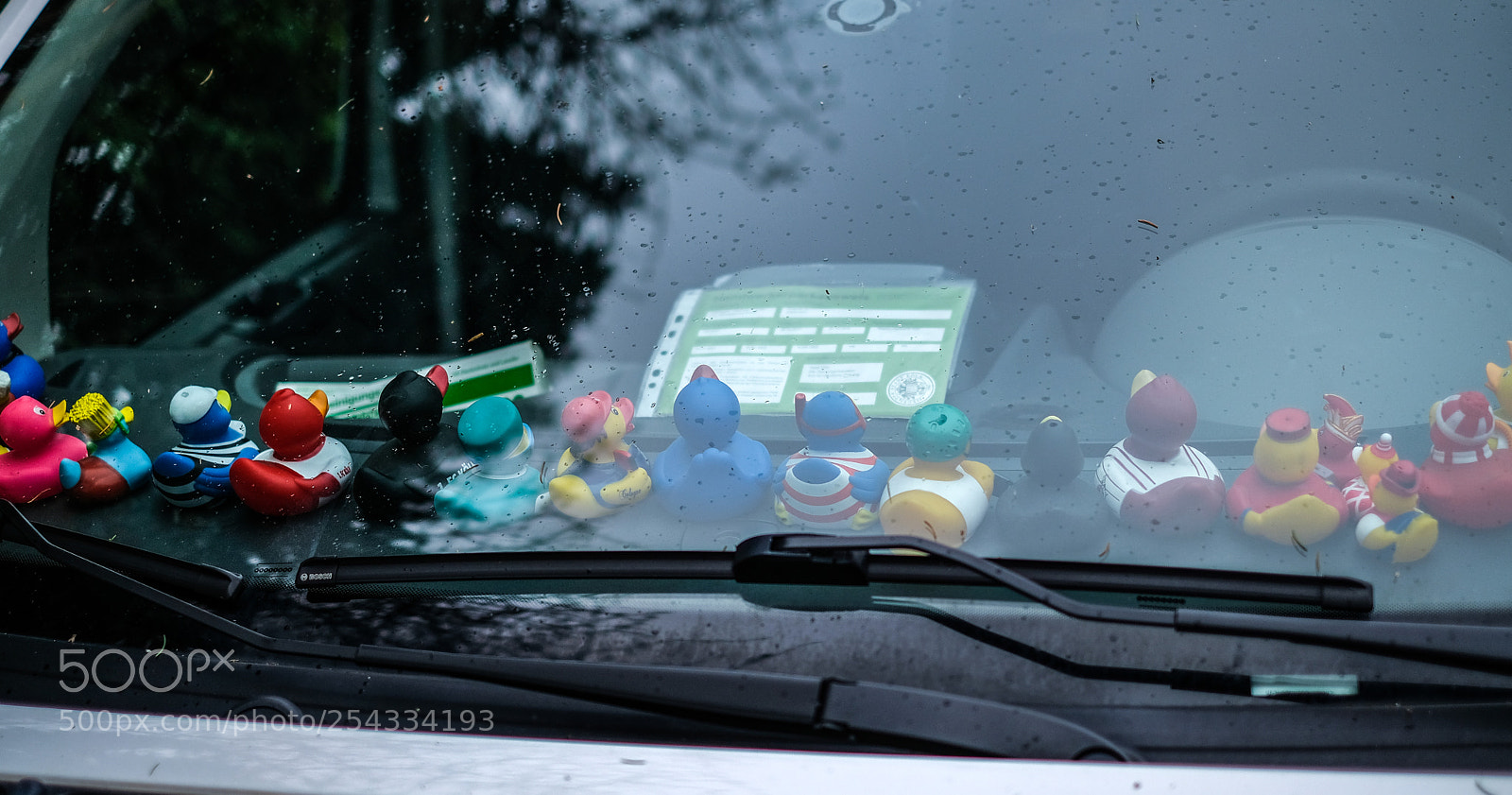 Fujifilm X-E3 sample photo. Little friends photography