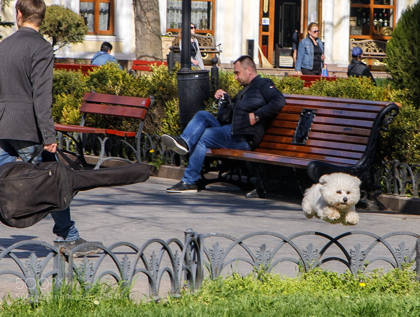 Canon EOS 5D sample photo. Levitation of a dog photography
