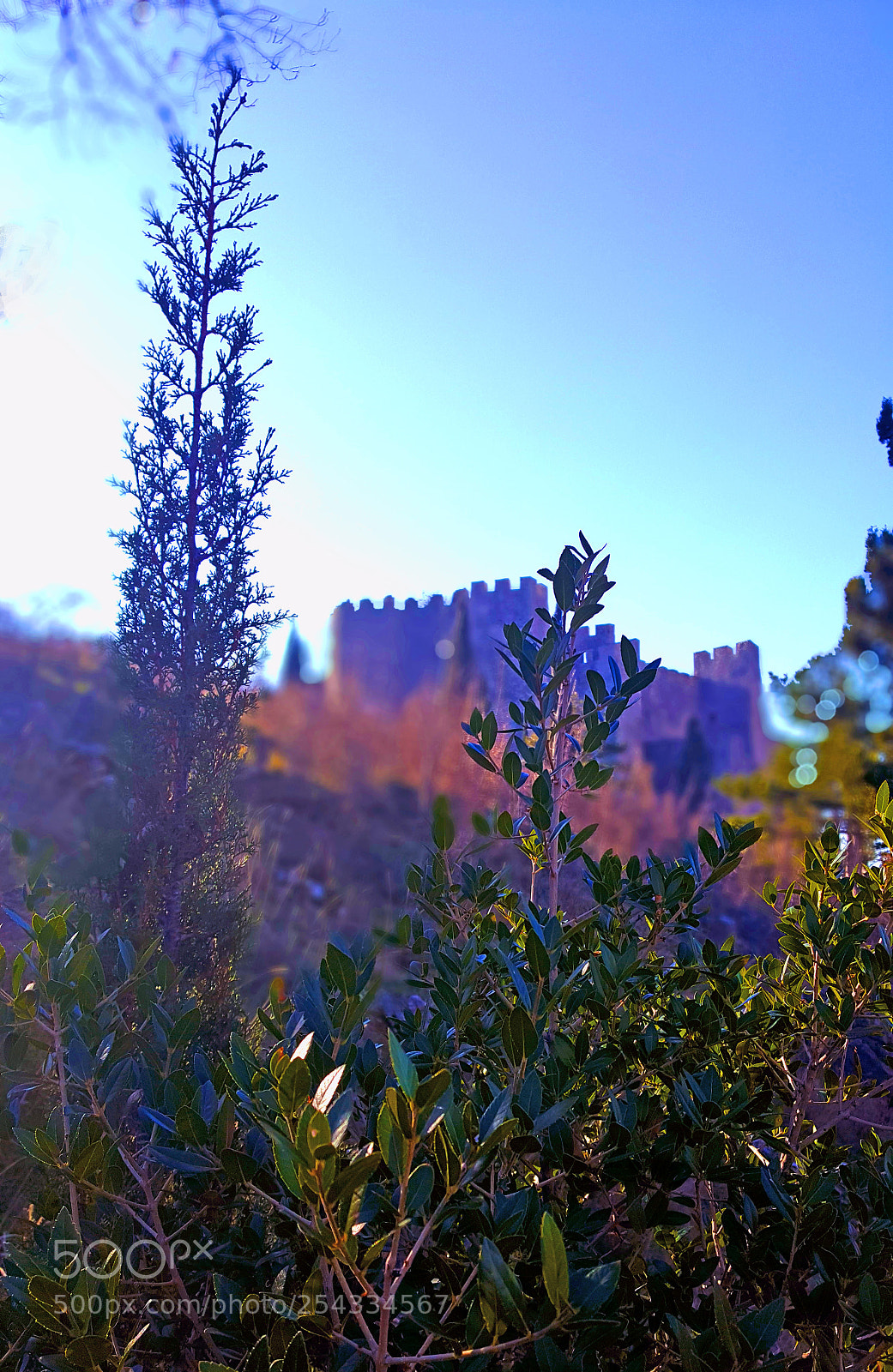 Samsung Galaxy S6 sample photo. Castle photography