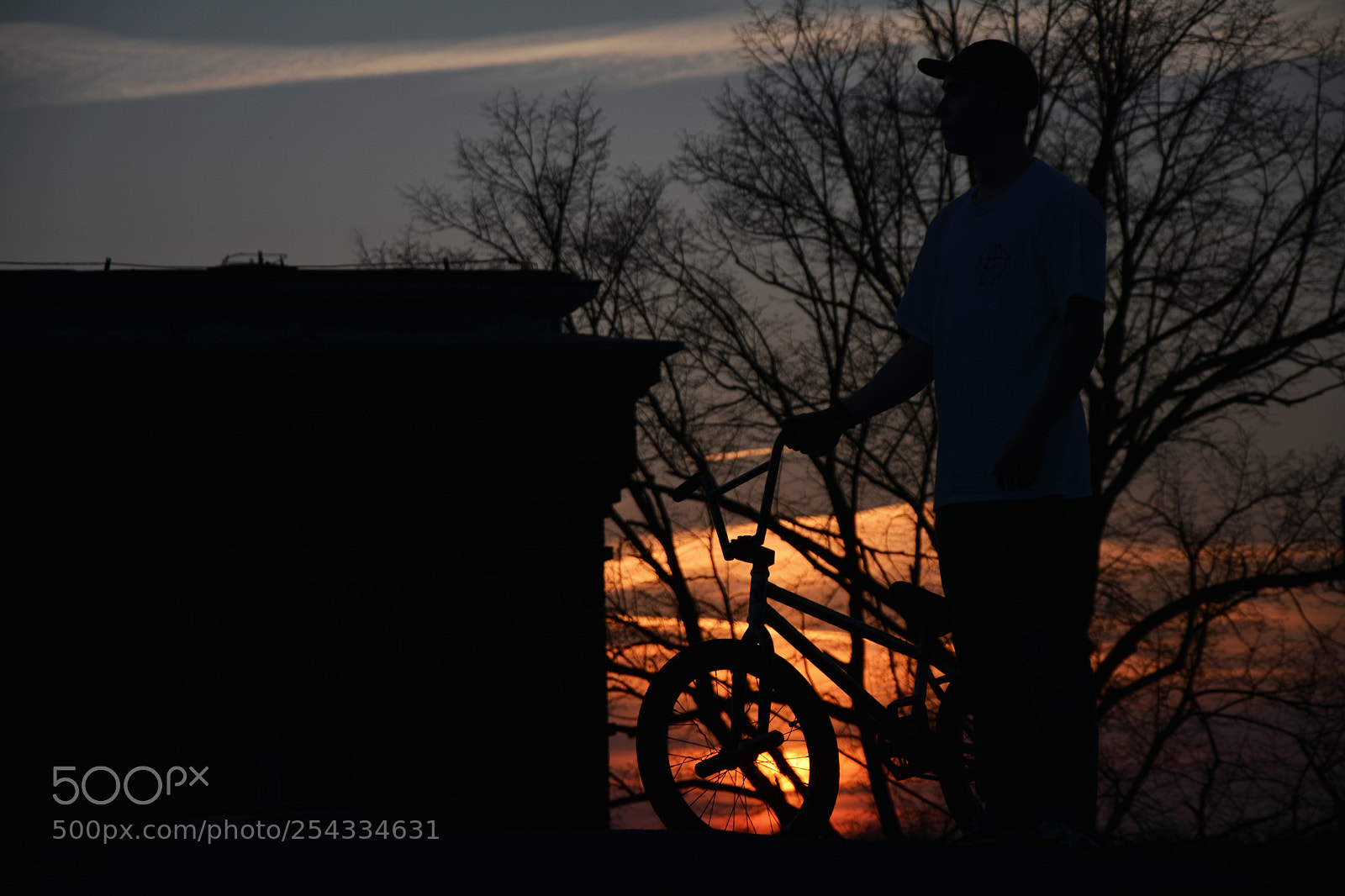 Nikon D5200 sample photo. Values photography