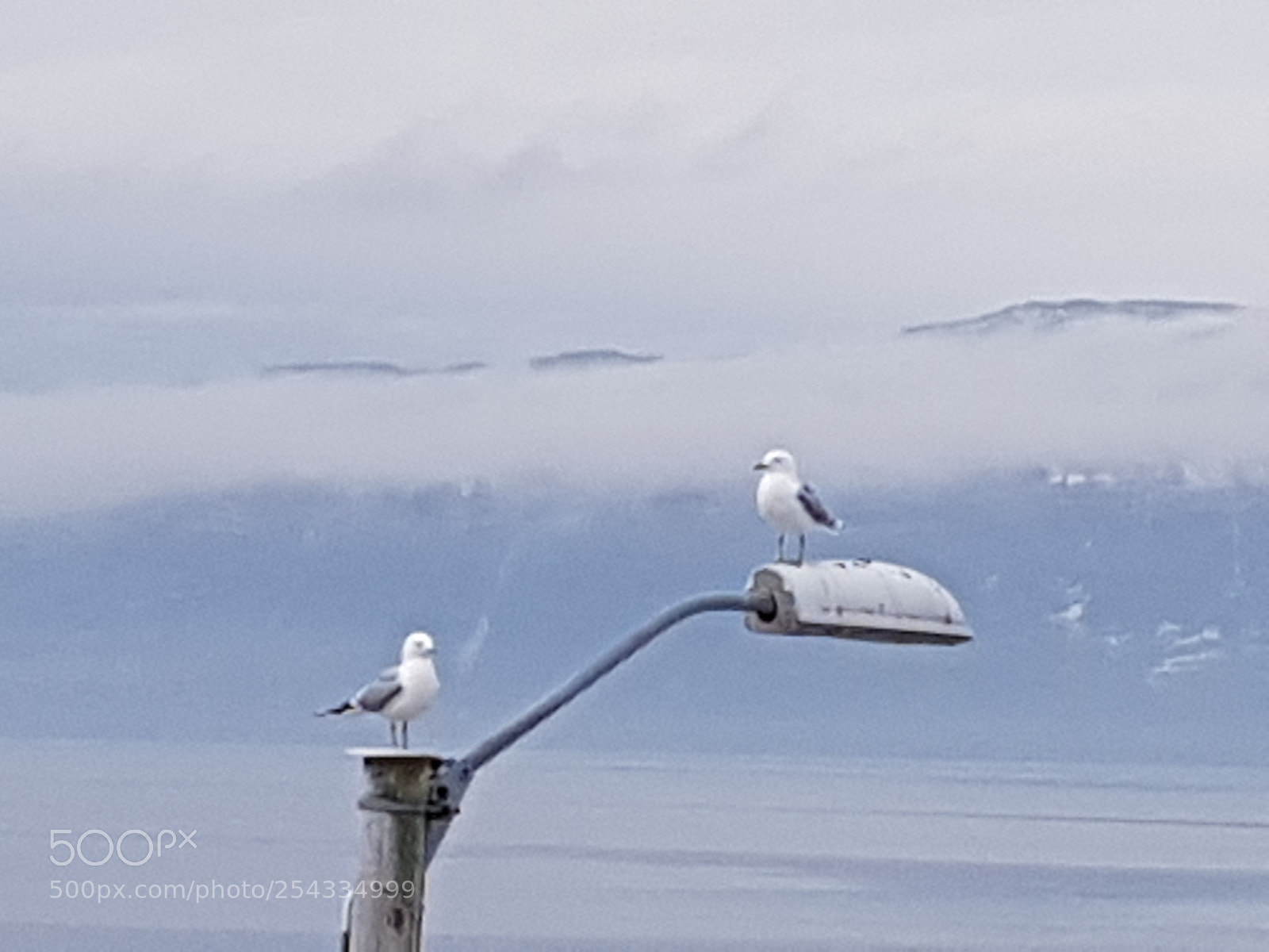 Samsung Galaxy S8 sample photo. Foggy day photography