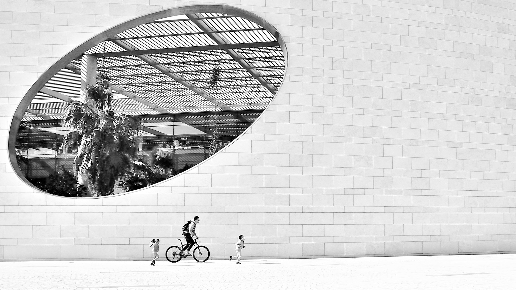 Nikon D5200 sample photo. *follow the leader* photography
