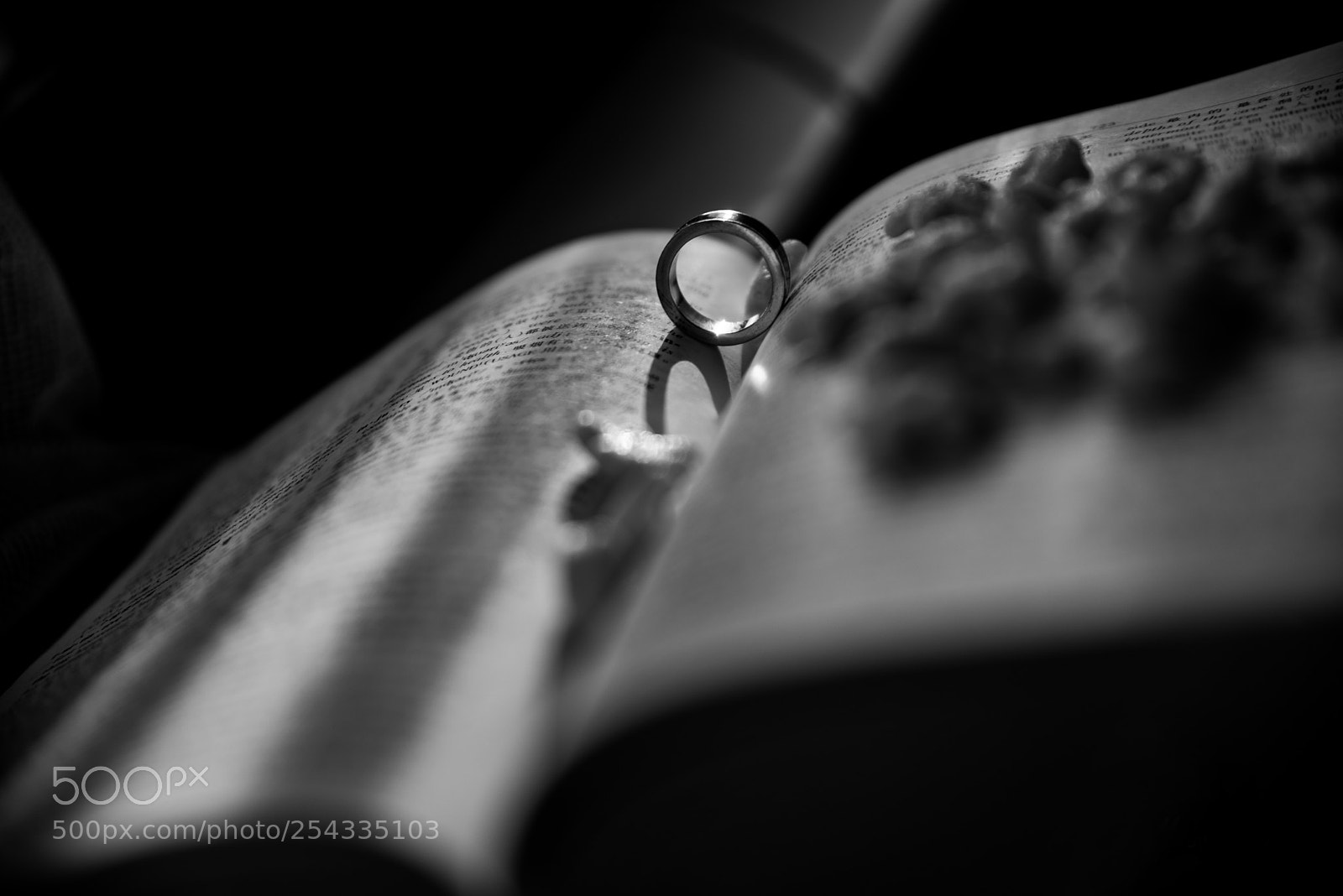 Pentax K-1 sample photo. Untitled photography