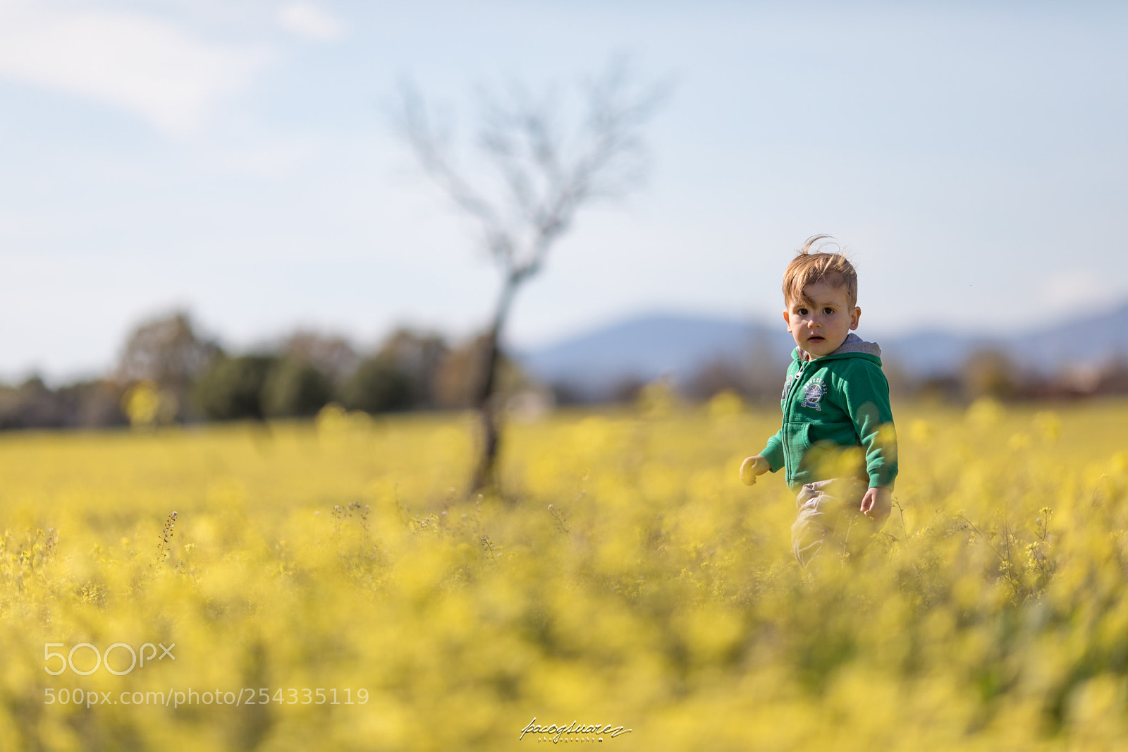 Canon EOS 5D Mark IV sample photo. Title your photo photography