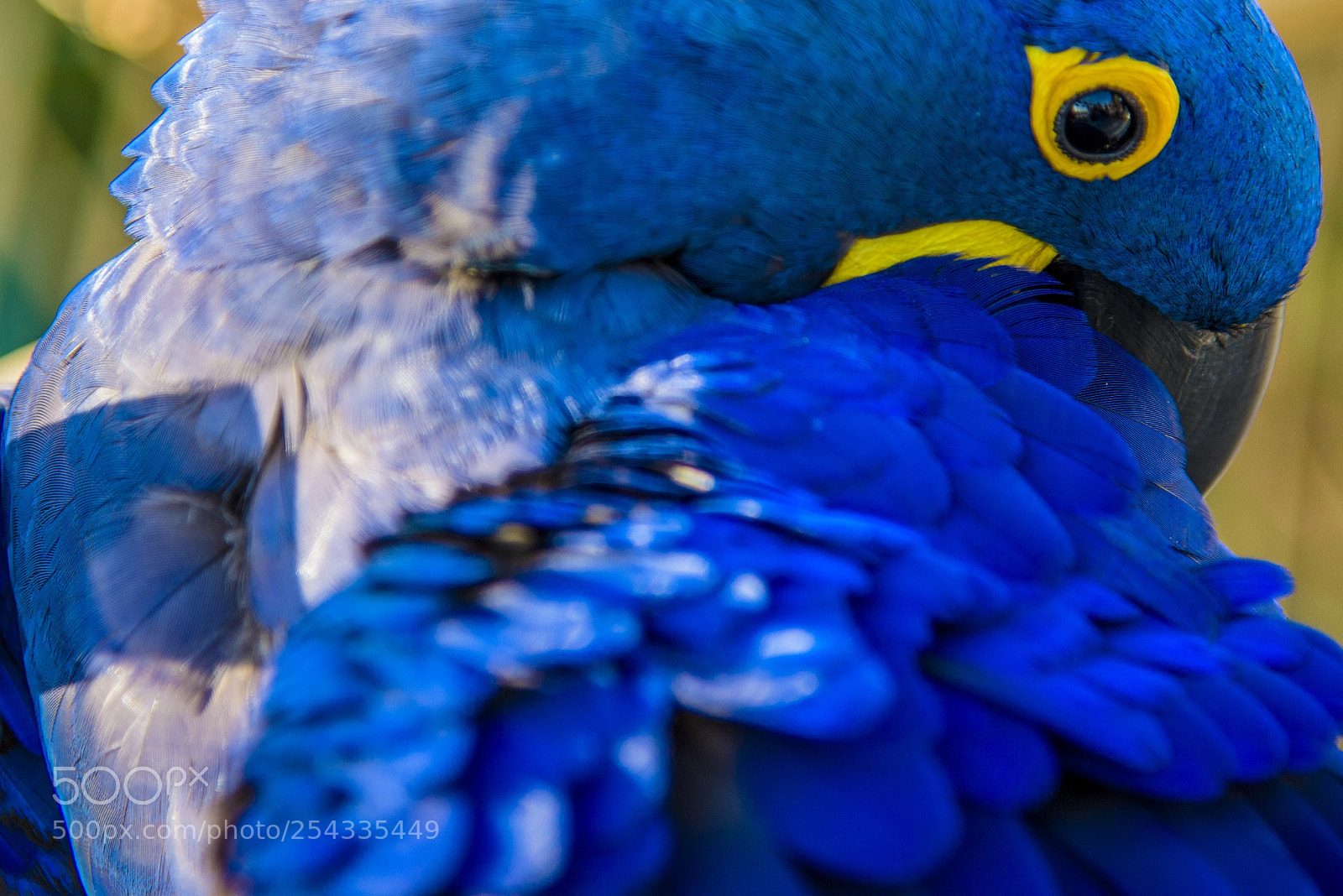 Nikon D810 sample photo. And when your eyes photography