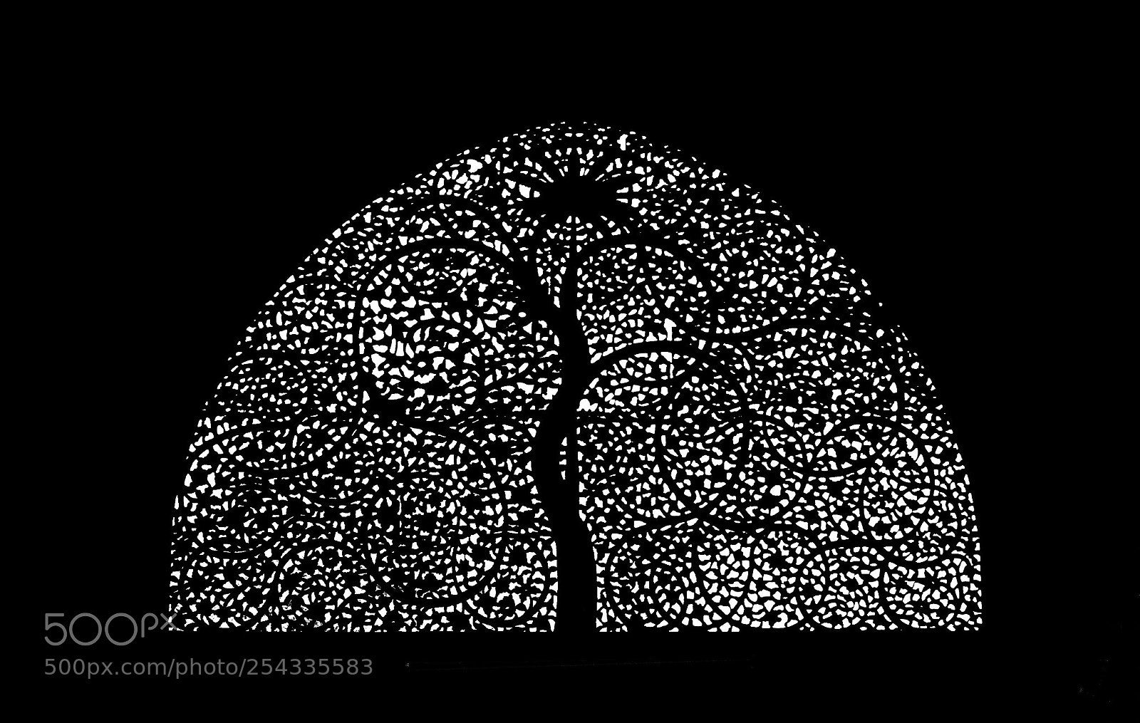 Canon EOS 7D sample photo. Latticework  photography