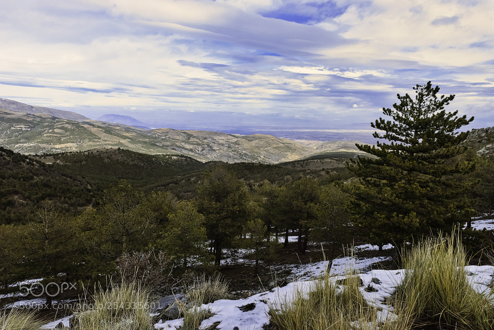 Nikon D810 sample photo. Parque natural sierra de photography