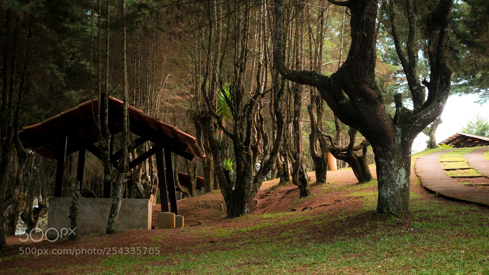Nikon D5300 sample photo. Lugar frecuente. photography