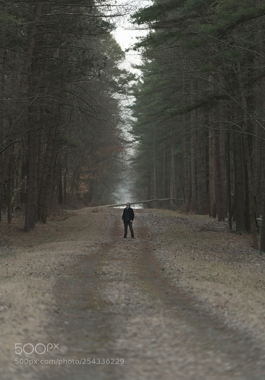 Nikon D850 sample photo. The road to nowhere photography