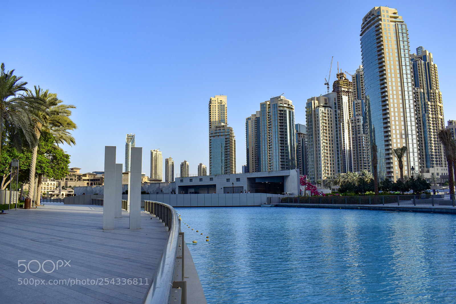 Nikon D5500 sample photo. Untitled photography