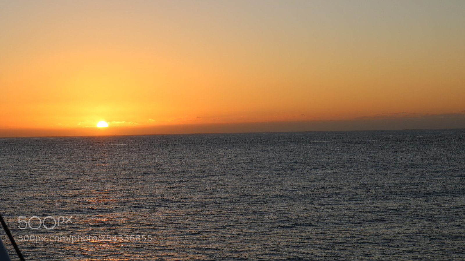 Canon EOS 750D (EOS Rebel T6i / EOS Kiss X8i) sample photo. Untitled photography