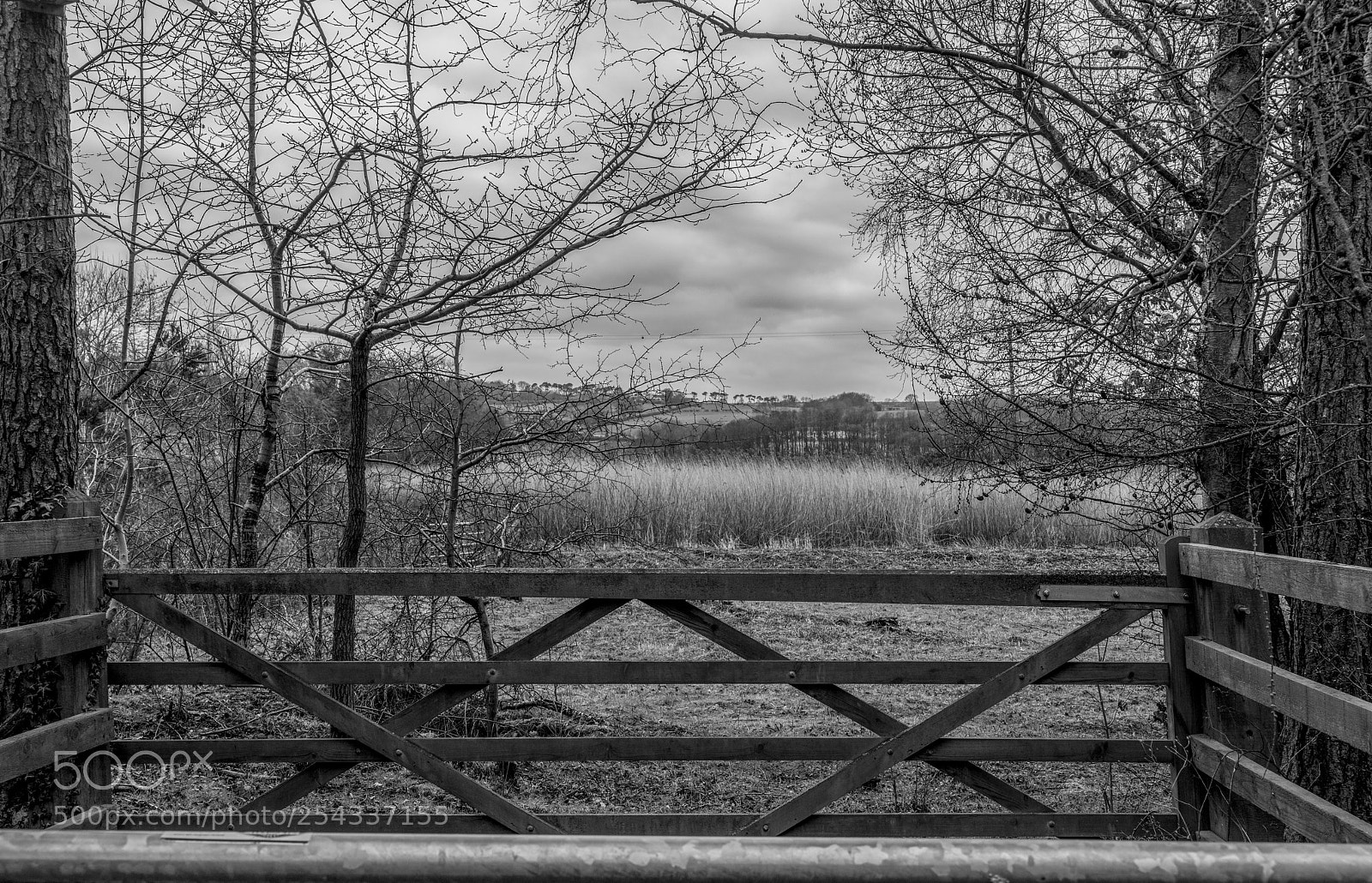 Sony a7R II sample photo. Framed photography