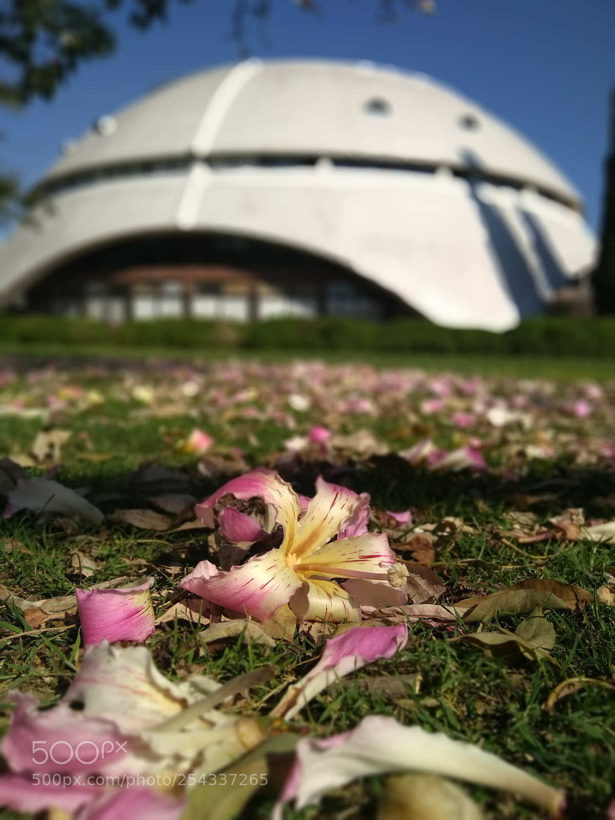 Motorola Moto G (5S) Plus sample photo. Planetario. rosario photography