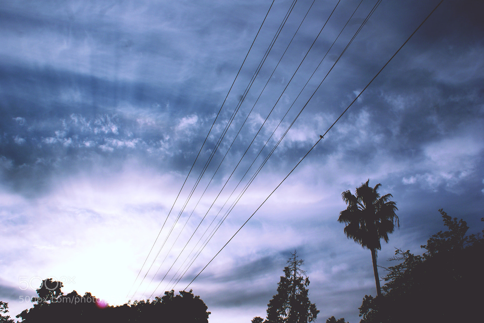 Sony Alpha DSLR-A200 sample photo. Day 18 of photomonthsac, part 1 photography