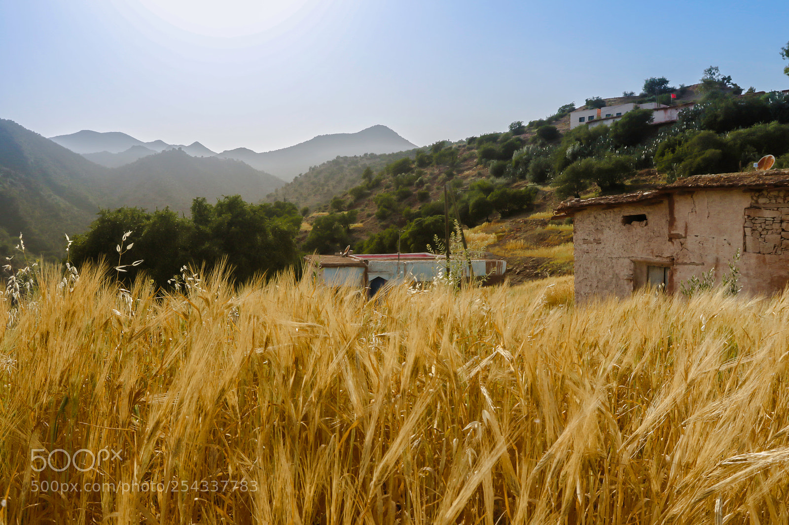 Canon EOS 7D Mark II sample photo. Nature photography